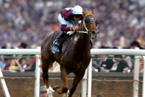 Choisir at Ascot Sprint Triumph 6" x 4" Photo Print