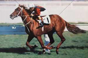 Luskin Star Wins 1978 AJC Galaxy - Randwick 6" x 4" Photo Print