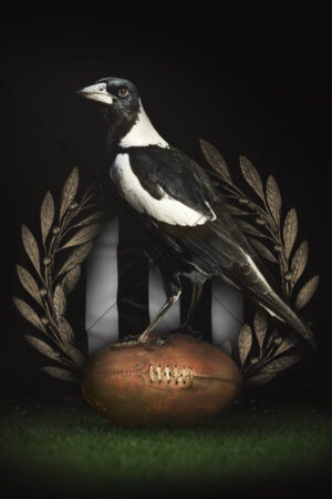 Collingwood Football Club Vintage Style Emblem 6x4 Photo Print