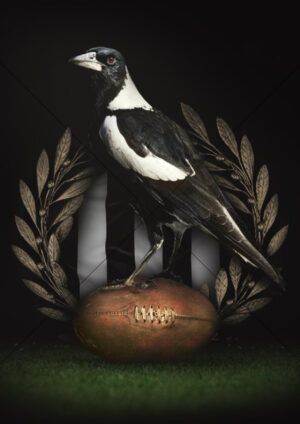Collingwood Magpie On Football Emblem A4 Poster Print