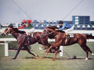 Balmerino Beats Lord Dudley Tulloch Stakes 1976 6x8 Photo Print