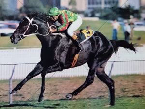 Double Century And Mick Mallyon Sydney Cup Win 6x8 Photo Print
