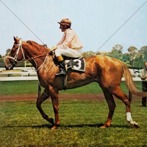 New Gleam With Terry Finger In The Saddle 6x6 Photo Print