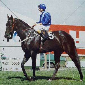 Prince Ruling With Harry White Cox Plate Day 1981 6x6 Photo Print