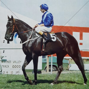 Prince Ruling Cox Plate Day 1981 8" x 8" Photo Print