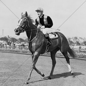 Wenona Vintage Trackside Portrait 8" x 8" Photo Print