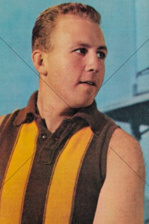 Des Dickson Hawthorn Hawks 1964 Mobil Card Portrait 6x4 Photo Print