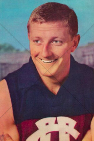 Kevin Murray Fitzroy Lions 1964 Mobil Card 6x4 Photo Print