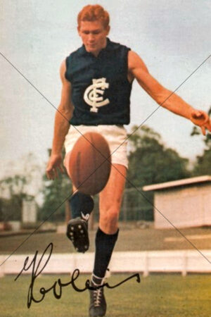 Gordon Collis Carlton Blues 1965 Mobil Card 6x4 Photo Print