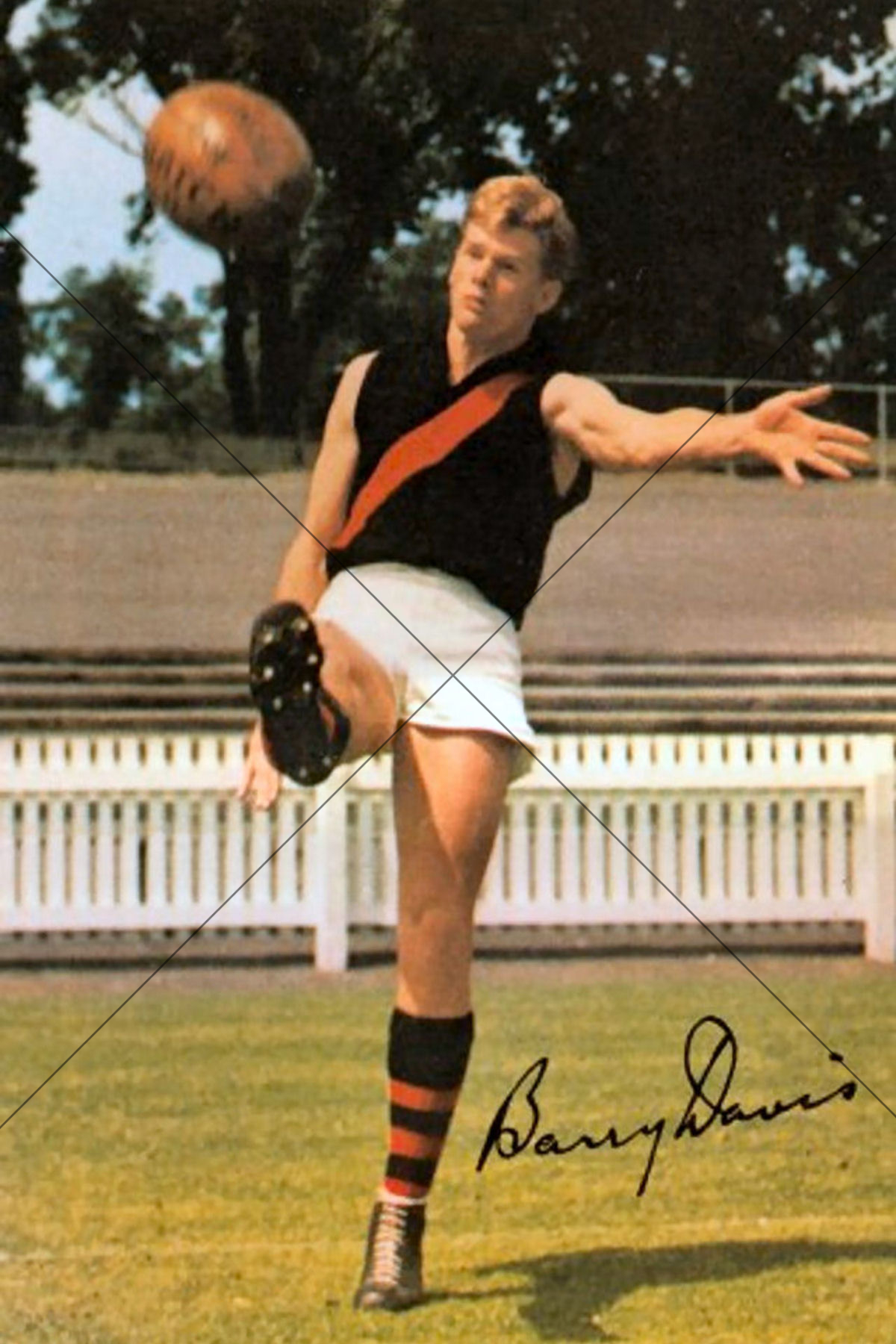 Barry Davis Essendon Bombers 1965 Mobil Card 6x4 Photo Print