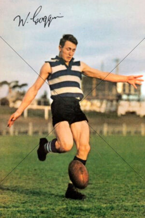 Bill Goggin Geelong Cats 1965 Mobil Card 6x4 Photo Print