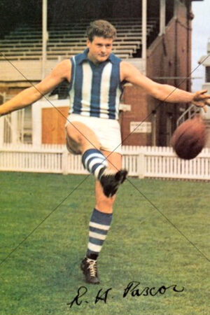 Bob Pascoe North Melbourne 1965 Mobil Card 6x4 Photo Print