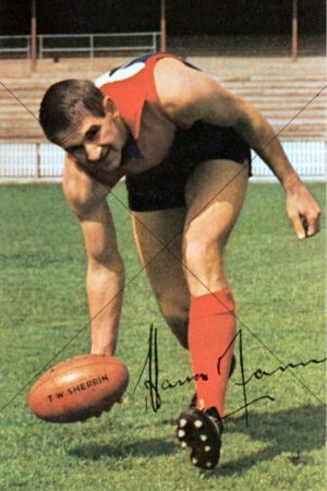 Hassa Mann Demons Kick Pose 6x4 Photo Print