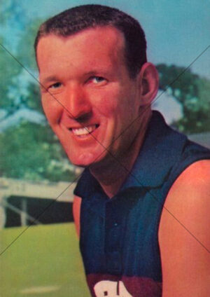 Allen Lynch - Fitzroy Lions 1964 Mobil Card A4 Poster Print