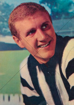 Terry Waters Collingwood Magpies 1964 Mobil Card A4 Poster Print