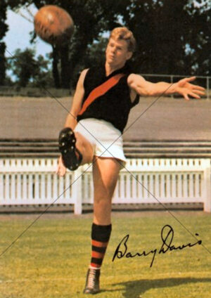 Barry Davis Essendon Bombers Drop Punt Action A4 Poster Print