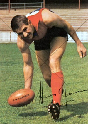 Hassa Mann Melbourne Demons Ball In Hand A4 Poster Print