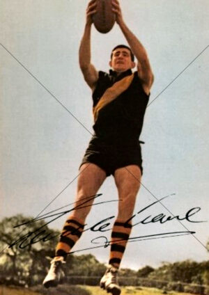 Neville Crowe Richmond Tigers On The Run Gather A4 Poster Print