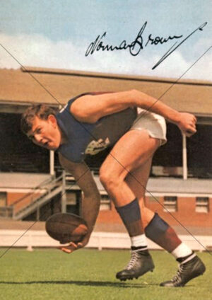 Norm Brown Fitzroy Lions Drop Punt Action A4 Poster Print