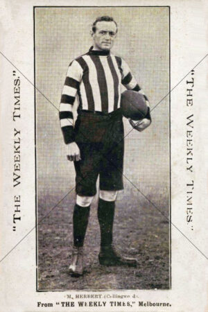 M. Herbert Collingwood Weekly Times 1910 6" x 4" Photo Print