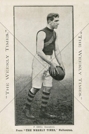 P. Shea Essendon Weekly Times Card 1910 6x4 Photo Print