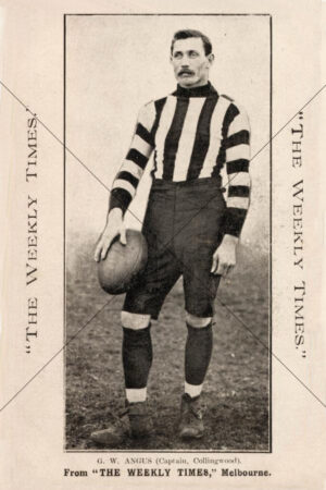 G. W. Angus Collingwood Weekly Times Card 1910 6x4 Photo Print
