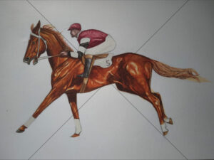 Phar Lap Jockey Racing Illustration 6x8 Photo Print