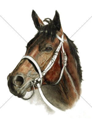 Wynx Champion Mare Racing Artwork 6x8 Photo Print