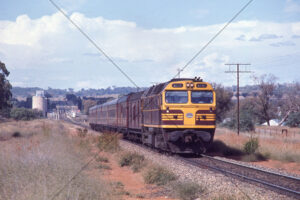 42217 Riverina Express Near Uranquinty 1972 6" x 4" Photo Print