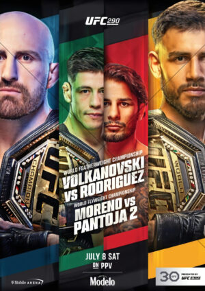 Alexander Volkanovski UFC 290 Multi Fighter Poster A4 Poster Print