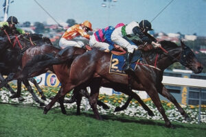 Better Loosen Up Cox Plate Win Michael Clarke 6x4 Photo Print