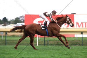 Bonecrusher Champion Of The Turf Photo 6x4 Photo Print