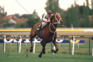 Bonecrusher Racehorse Close-Up Portrait 6x4 Photo Print
