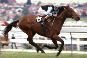 Brent Thomson and Dulcify Cox Plate 6x4 Photo Print