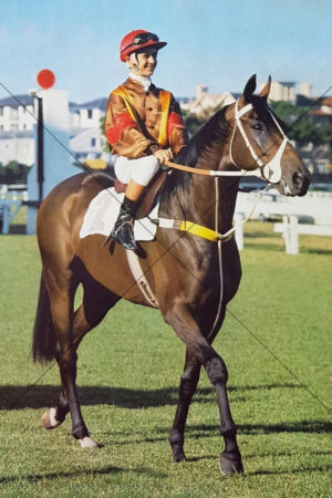 Malcolm Johnston On Miracle Mal Trackside Portrait 6x4 Photo Print