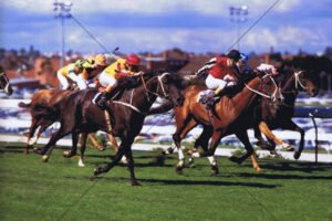Peter Cook Aboard Kingston Town Cox Plate Finish 6x4 Photo Print