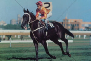 Kingston Town Racehorse Portrait 6x4 Photo Print