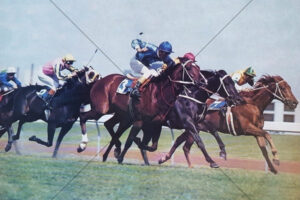 Midge Didham Belmura Lad 1981 Mackinnon Stakes 6x4 Photo Print