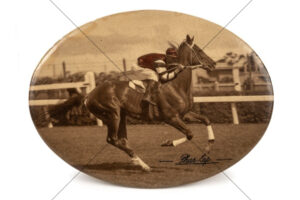 Phar Lap In Full Stride Racing Photo 6x4 Photo Print