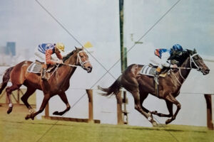 Bart Cummings Leilani Defeats Battle Heights 6x4 Photo Print