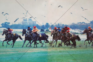 Seagulls Take Fright Randwick 1983 AJC Derby 6x4 Photo Print