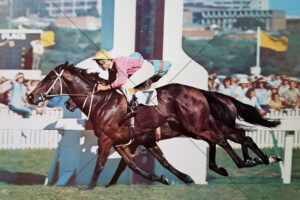 Roy Higgins On Tontonan All Aged Stakes 6x4 Photo Print