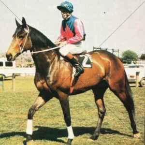 Gay Icarus 1970s Magazine Cover 6x6 Photo Print