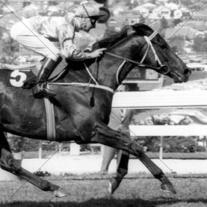 Kingston Town Vintage Street Scene 6x6 Photo Print