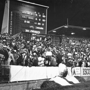 VFL Park Crowd 6x6 Photo Print