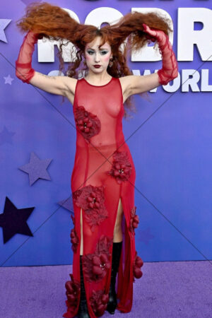 Chappell Roan Sheer Red Gown With Floral Applique Red Carpet 6x4 Photo Print