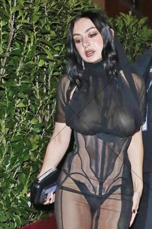 Charli XCX Night Arrival In Sheer Black Corset Style Dress 6x4 Photo Print