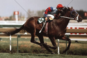 Admiral Lincoln Winning 1984 Australian Cup With Kevin Forrester 6x4 Photo Print