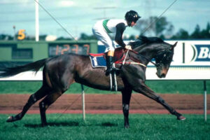 Better Loosen Up Winning 1991 Australian Cup With Michael Clarke 6x4 Photo Print