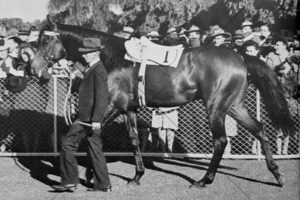 Bernborough Parading With Groom Ned Cullen Before 1946 Doomben 10000 6x4 Photo P